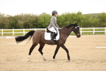 SBM_006870