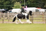 SBM_06175