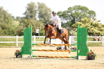 SBM_003819
