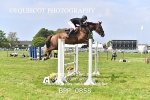 AYR COUNTY SHOW 2024 BRITISH SHOWJUMPING portfolio