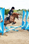 SBM_007731