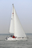 170506 TAMERISK - MORGAN 38 1Y3A8307_Edit