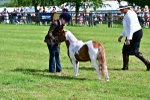 SBM_03454