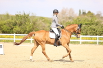 SBM_008434