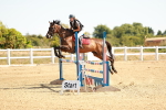 SBM_002891