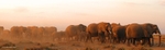 _84Y0776 Amboseli