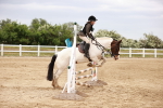 SBM_008666