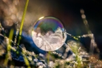 z4233 Frozen Rainbow Bubble