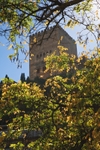 Autumn in Granada
