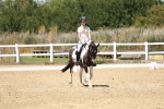 SBM_001611