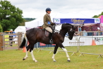 SBM_02581