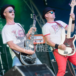 Peppered Ant Legs-255