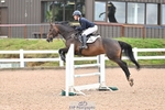 Cls 1 British Novice and 90cm Open portfolio