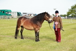 SBM_00654