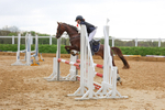 Class 12: Pony British Novice/80cm open portfolio