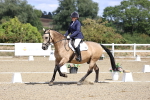 SBM_014491
