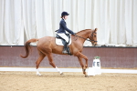 SBM_003450