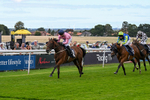 160926-Race 1-Austrian Theory-9160