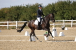 SBM_022600