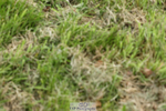 240825X-143505-34693