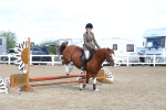 SBM_12240