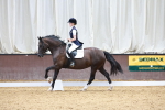 SBM_009995