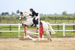 SBM_009604