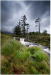 Rain in the Inagh Valley, Co Galway