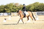 SBM_016924