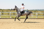 SBM_000353
