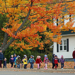 Autumn Foliage New Brunswick Canada