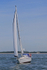 180603 CORNISH GOLD GBR2264L 1Y3A4057_Edit