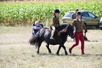WJ6_8093