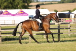 SBM_20194