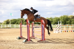 Class 14 - National 1.30m-1.40m portfolio