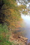 Tionesta Fog