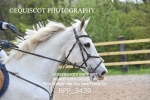 CLASS 15 SUN 0.95m Amateur Championship Qualifier portfolio