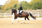 SBM_012229