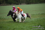 SHETPR 210425 90
