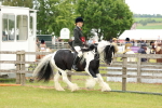 SBM_06263