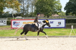 SBM_38935