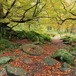 Padley Millstone