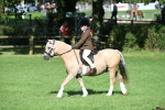 SBM_50331
