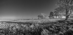 DSCF9309-Edit
