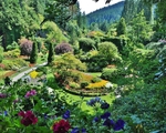 Lush Gardens