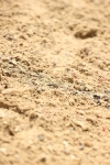 SBM_002047