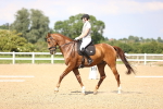 SBM_002792