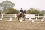 SBM_004736