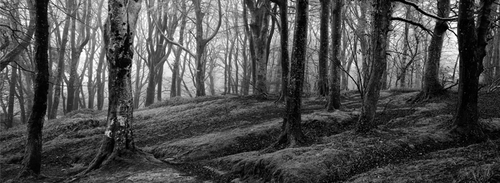 A mono version of the Dhoon Glen panoramic image.
