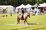 SBM_12761